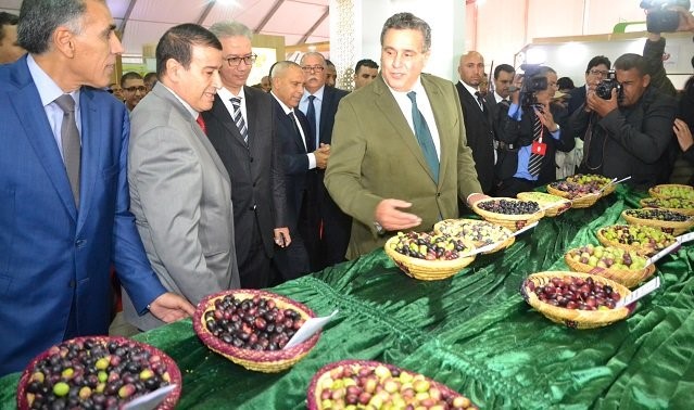 Morocco Top Four Olive Oil Producer