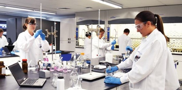 Olive Oil Research