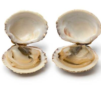 Clams Are One Of The Most Nutrient Dense Foods Available
