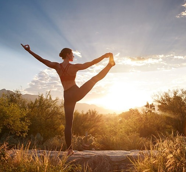 Wellness From Olive Oil