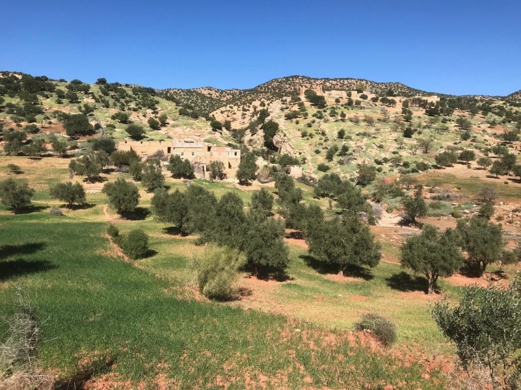 Sustainability of Extra Virgin Olive Oil from Morocco