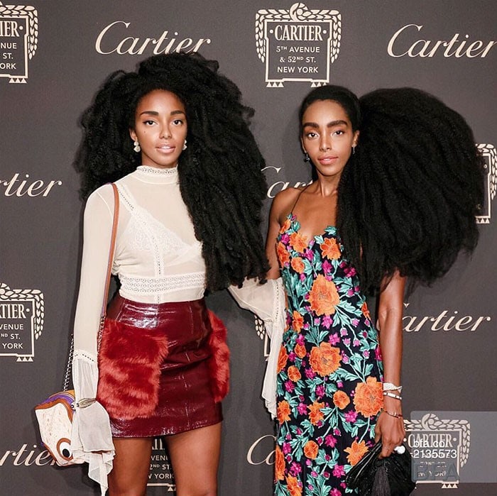 Cipriana Quann And Tk Wonder use extra virgin olive oil to enhance their hair